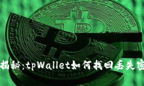 专家独家揭秘：tpWallet如何找回丢失密钥的秘诀