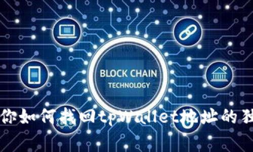 专家教你如何找回tpWallet地址的独家秘诀