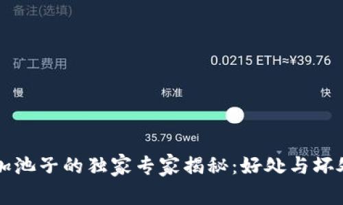 tpWallet加池子的独家专家揭秘：好处与坏处全面解析