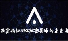 专家独家揭秘AES加密货币的未来与秘诀
