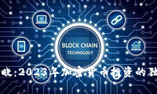 专家揭晓：2023年加密货币投资的独家秘诀