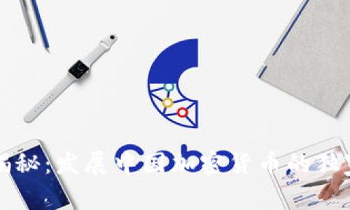 专家揭秘：发展中国加密货币的独家秘诀