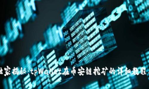 专家独家揭秘：tpWallet在币安链挖矿的详细教程与秘诀
