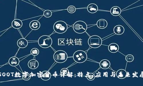 SOOT数字加密货币详解：特点、应用与未来发展