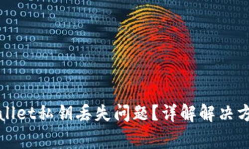 如何处理tpWallet私钥丢失问题？详解解决方案与注意事项
