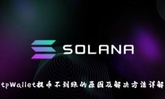 tpWallet提币不到账的原因及解决方法详解