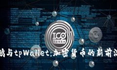 赵长鹏与tpWallet：加密货币的新前沿应用