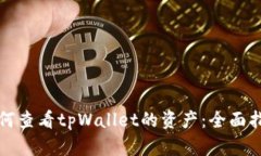 如何查看tpWallet的资产：全面指南