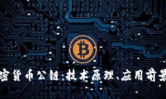 深入解析加密货币公链：技术原理、应用前景与