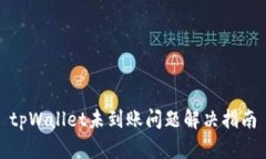 tpWallet未到账问题解决指南