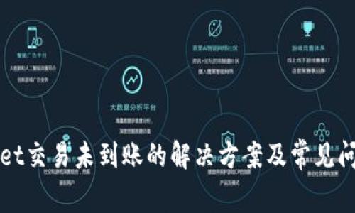 tpWallet交易未到账的解决方案及常见问题解析