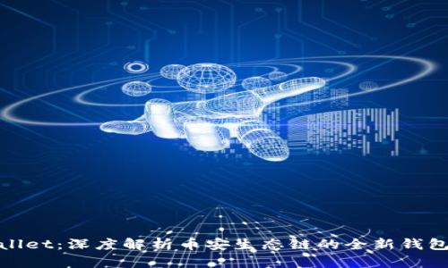 tpWallet：深度解析币安生态链的全新钱包体验