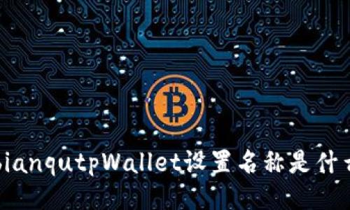 bianqutpWallet设置名称是什么