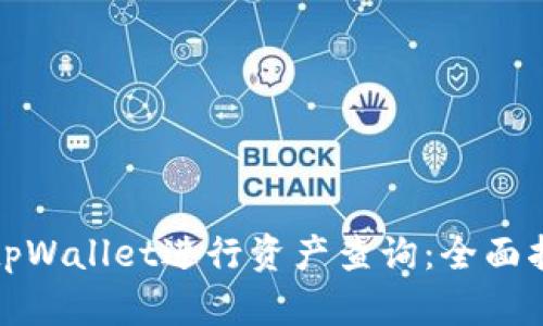 如何使用tpWallet进行资产查询：全面指南与技巧