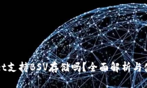 tpWallet支持BSV存储吗？全面解析与使用指南