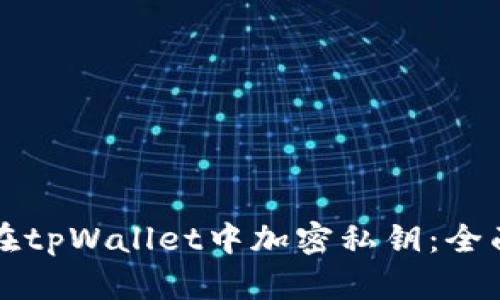 如何在tpWallet中加密私钥：全面指南