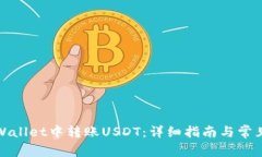 如何在tpWallet中转账USDT：详细指南与常见问题解