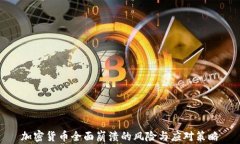 加密货币全面崩溃的风险与应对策略