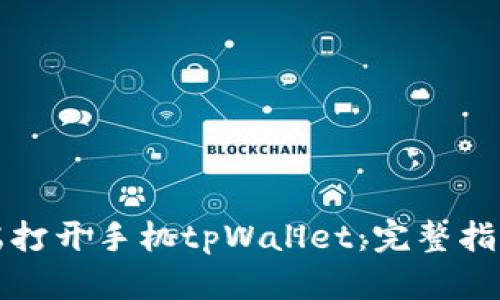 如何在电脑端打开手机tpWallet：完整指南与问题解答