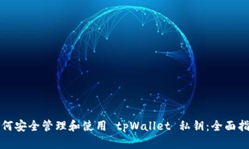 如何安全管理和使用 tpWallet 私钥：全面指南