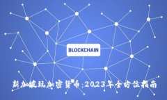 新加坡玩加密货币：2023年全方位指南