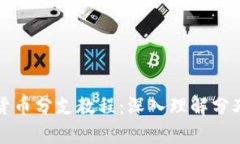 全面解析加密货币分支教程：深入理解分叉的意