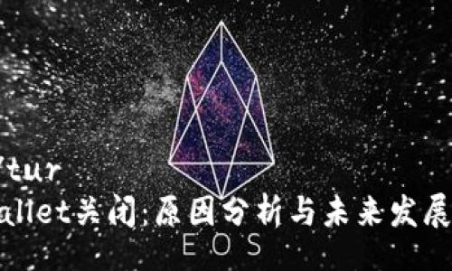 tur/tur
tpWallet关闭：原因分析与未来发展趋势