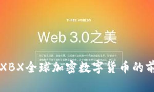 深入探究XBX全球加密数字货币的前景与应用