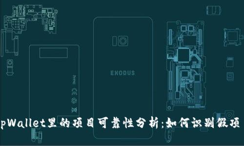 tpWallet里的项目可靠性分析：如何识别假项目