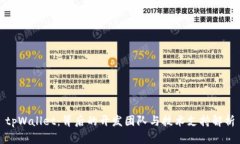 tpWallet：背后的开发团队与技术支持解析