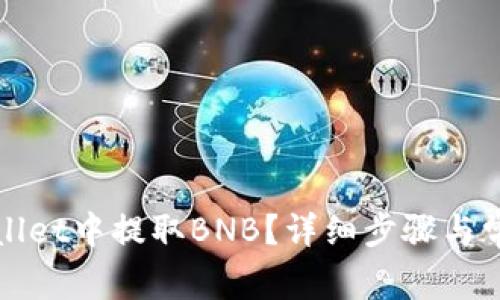 如何在tpWallet中提取BNB？详细步骤与常见问题解答