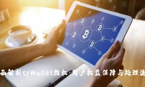 全面解析tpWallet维权：用户权益保障与处理流程
