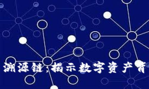 加密货币溯源链：揭示数字资产背后的秘密