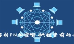 : 深入解析PN加密货币：投资前的全面指南