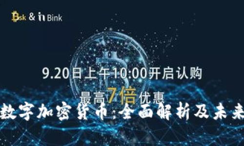 银链数字加密货币：全面解析及未来展望