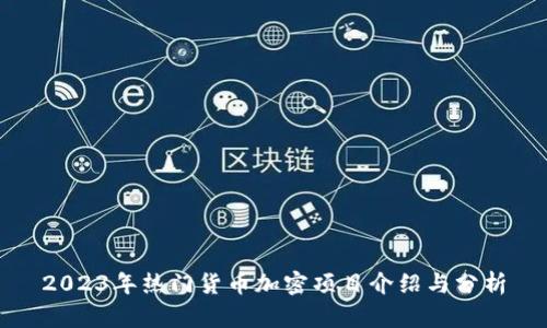 2023年热门货币加密项目介绍与分析