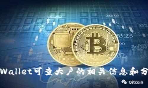 tpWallet可查大户的相关信息和分析